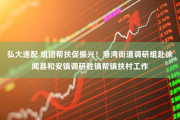 弘大速配 组团帮扶促振兴!港湾街道调研组赴徐闻县和安镇调研驻镇帮镇扶村工作