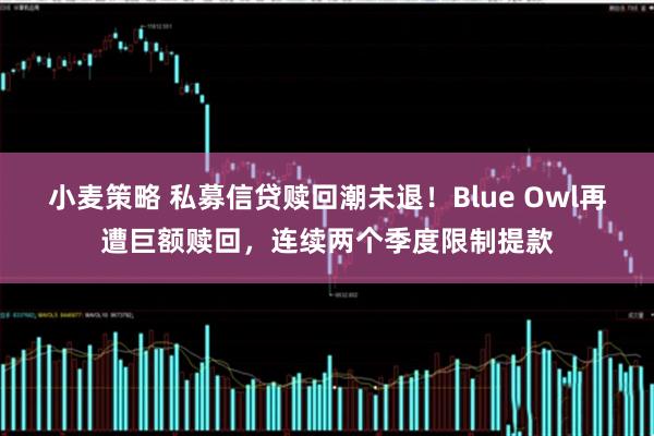 小麦策略 私募信贷赎回潮未退！Blue Owl再遭巨额赎回，连续两个季度限制提款