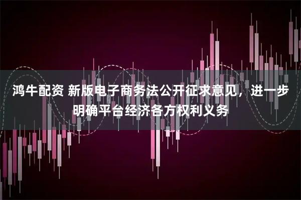 鸿牛配资 新版电子商务法公开征求意见，进一步明确平台经济各方权利义务